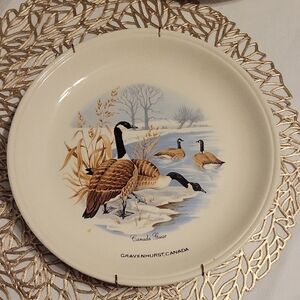 Vintage Rustic Farmhouse Cream Plate with Canada Geese Design